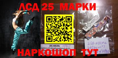 индика Ярцево