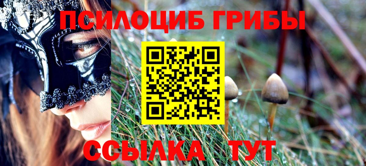 Кувандык  Галлюциногенные грибы ЛСД  Галлюциногенные грибы прущие грибы  Вход с VPN 
