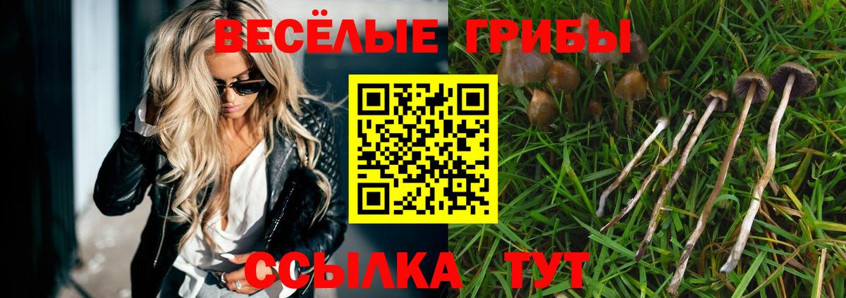 Псилоцибиновые грибы мицелий Кувандык